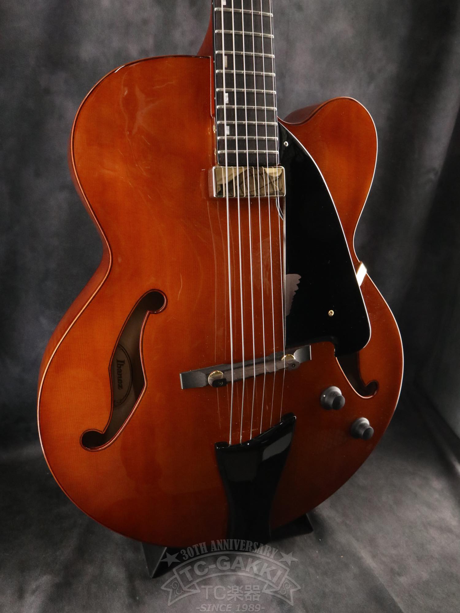 Ibanez AFC151 - TC楽器 - TCGAKKI