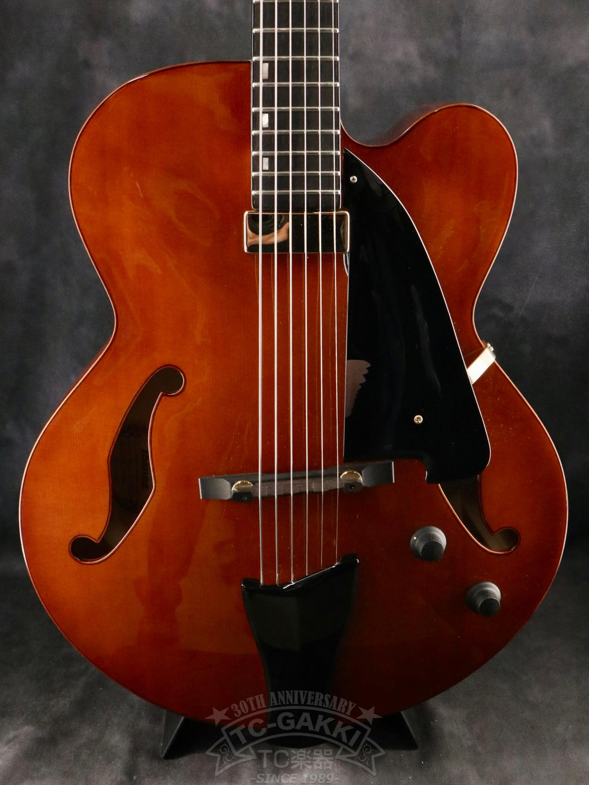 Ibanez AFC151 - TC楽器 - TCGAKKI