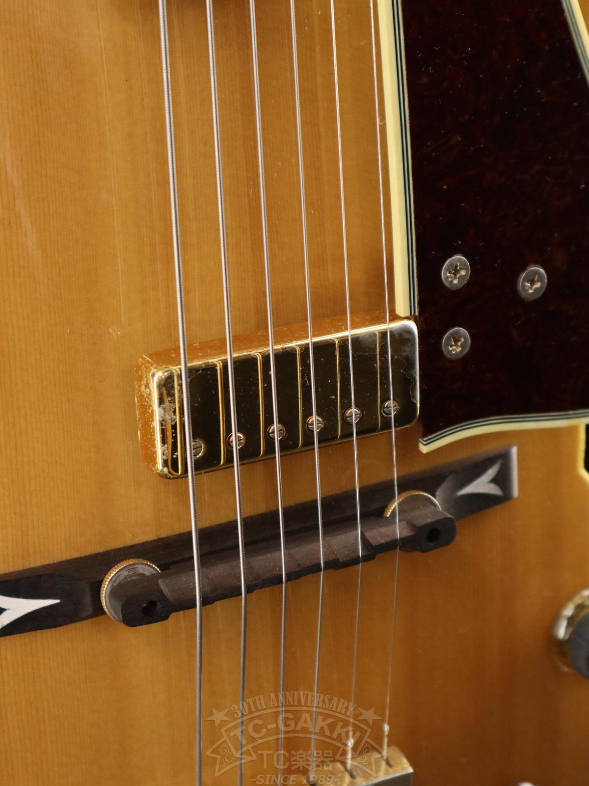 Ibanez GB10 George Benson - TC楽器 - TCGAKKI