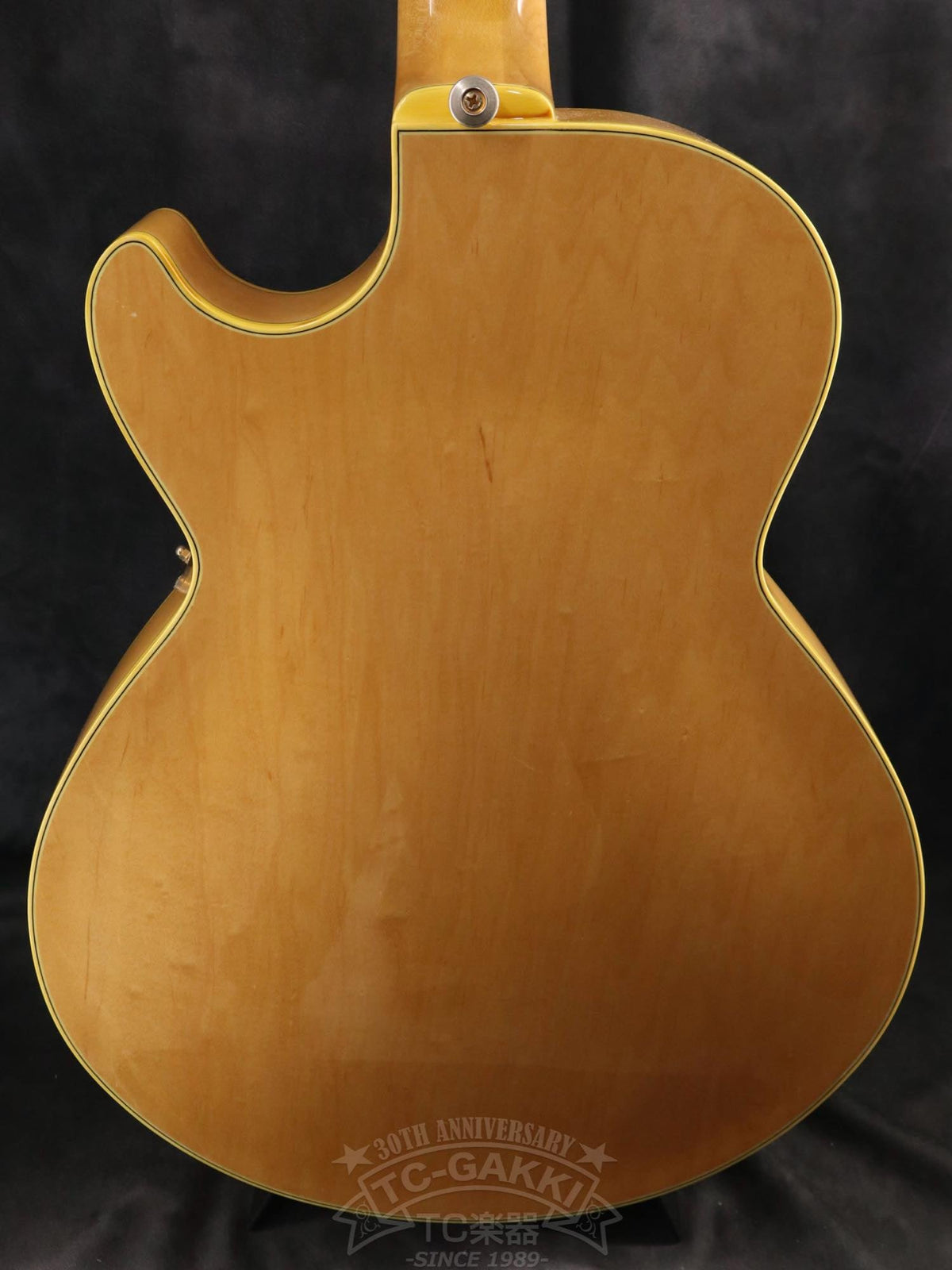 Ibanez GB10 George Benson - TC楽器 - TCGAKKI