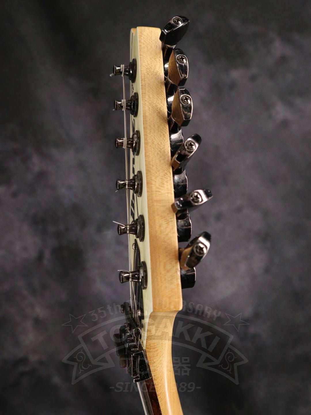 Ibanez PGM30