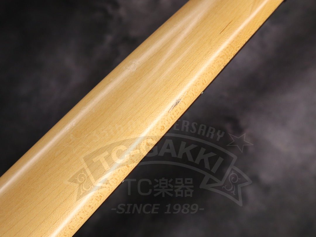 Ibanez PGM30 - TC楽器 - TCGAKKI