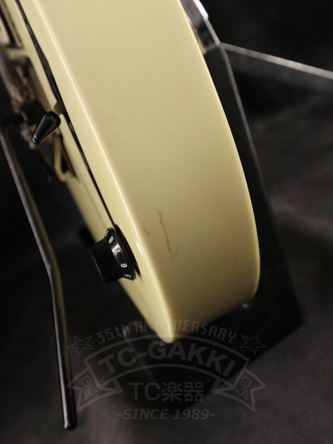 Ibanez PGM30