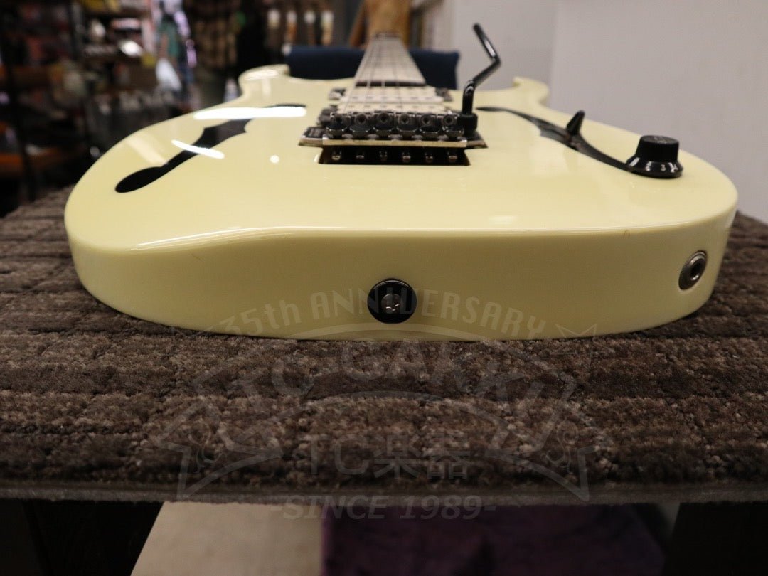 Ibanez PGM30