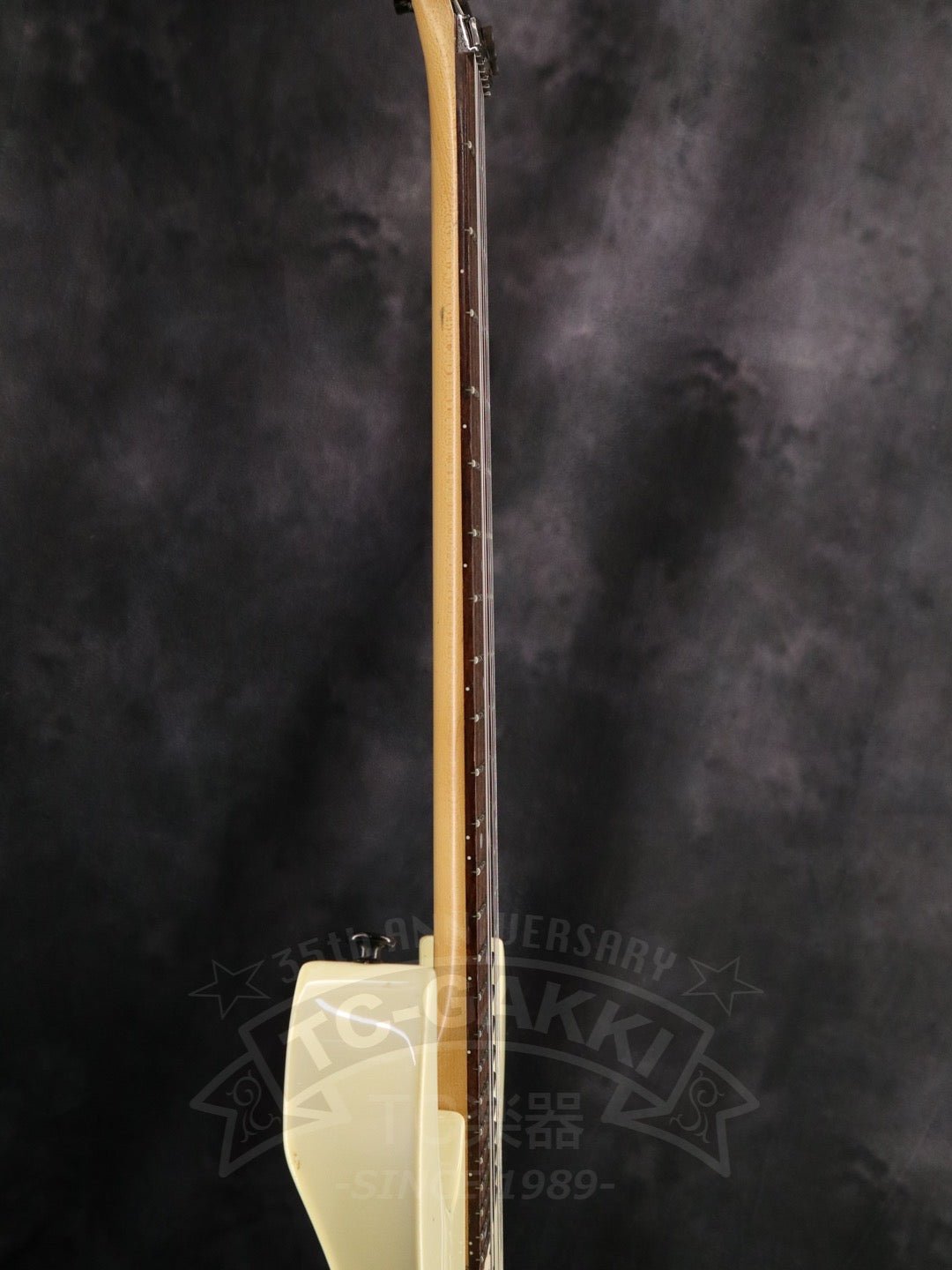Ibanez PGM30