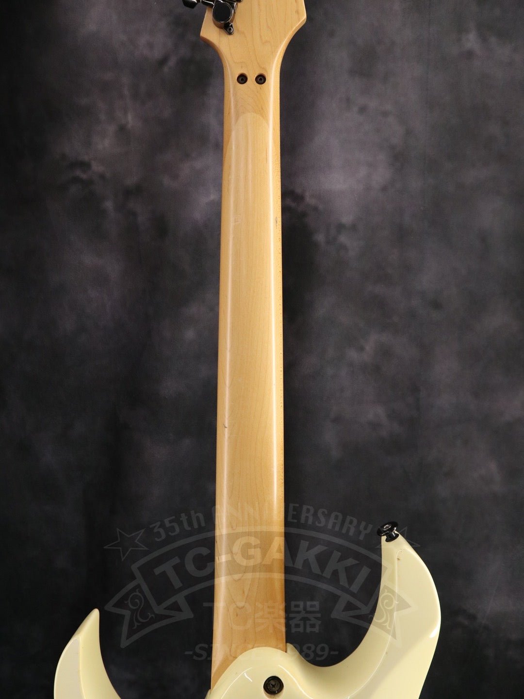 Ibanez PGM30