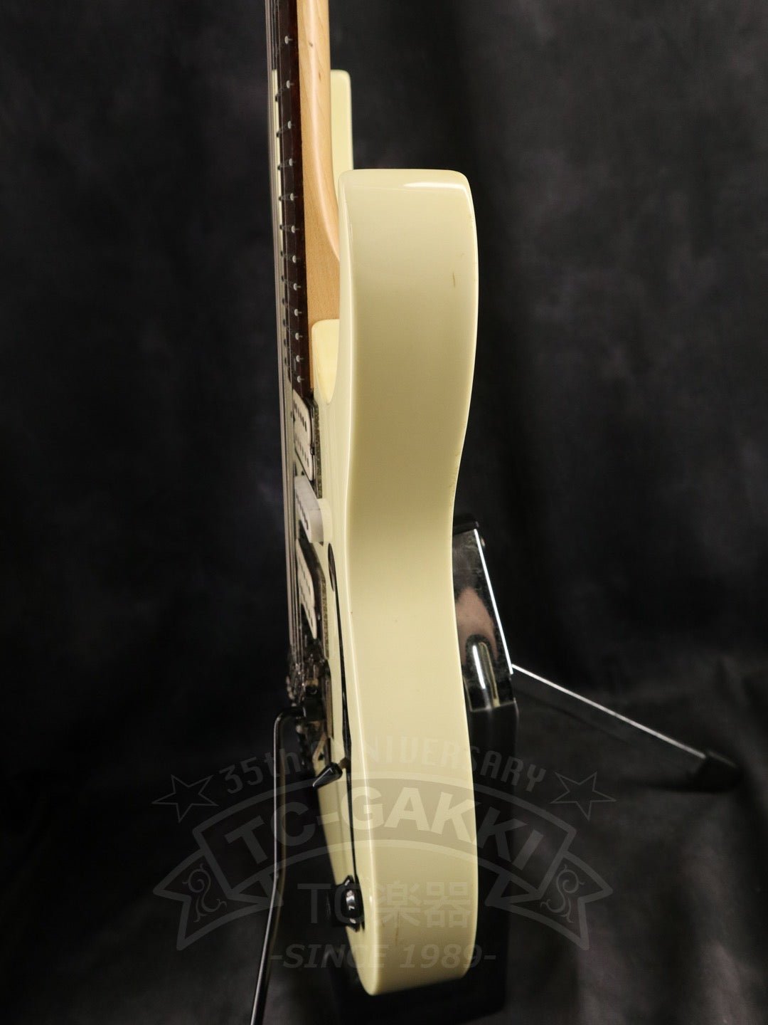 Ibanez PGM30