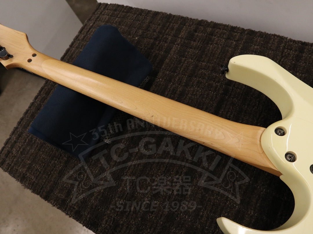 Ibanez PGM30
