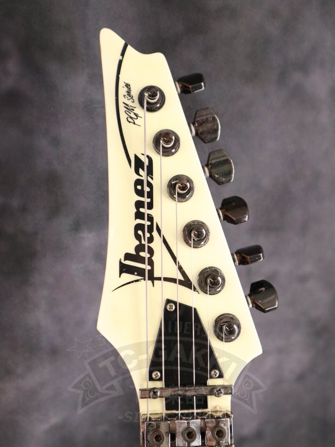 Ibanez PGM30