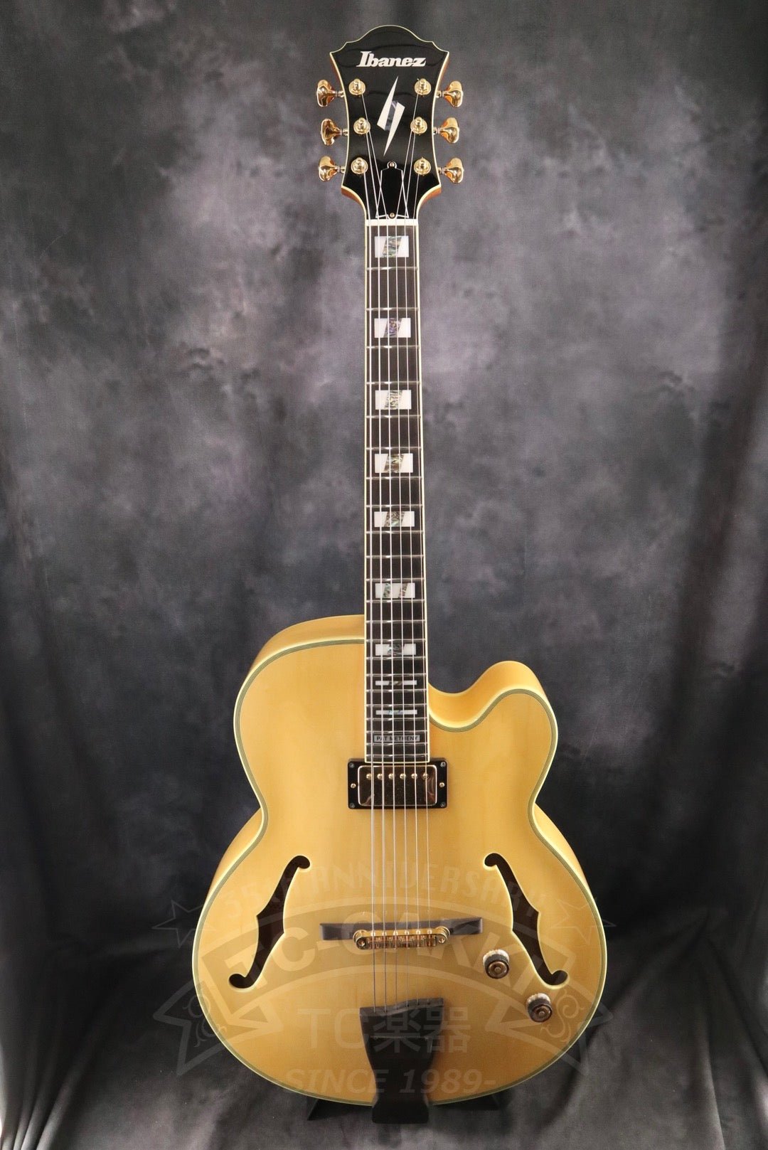 Ibanez PM200 - TC楽器 - TCGAKKI