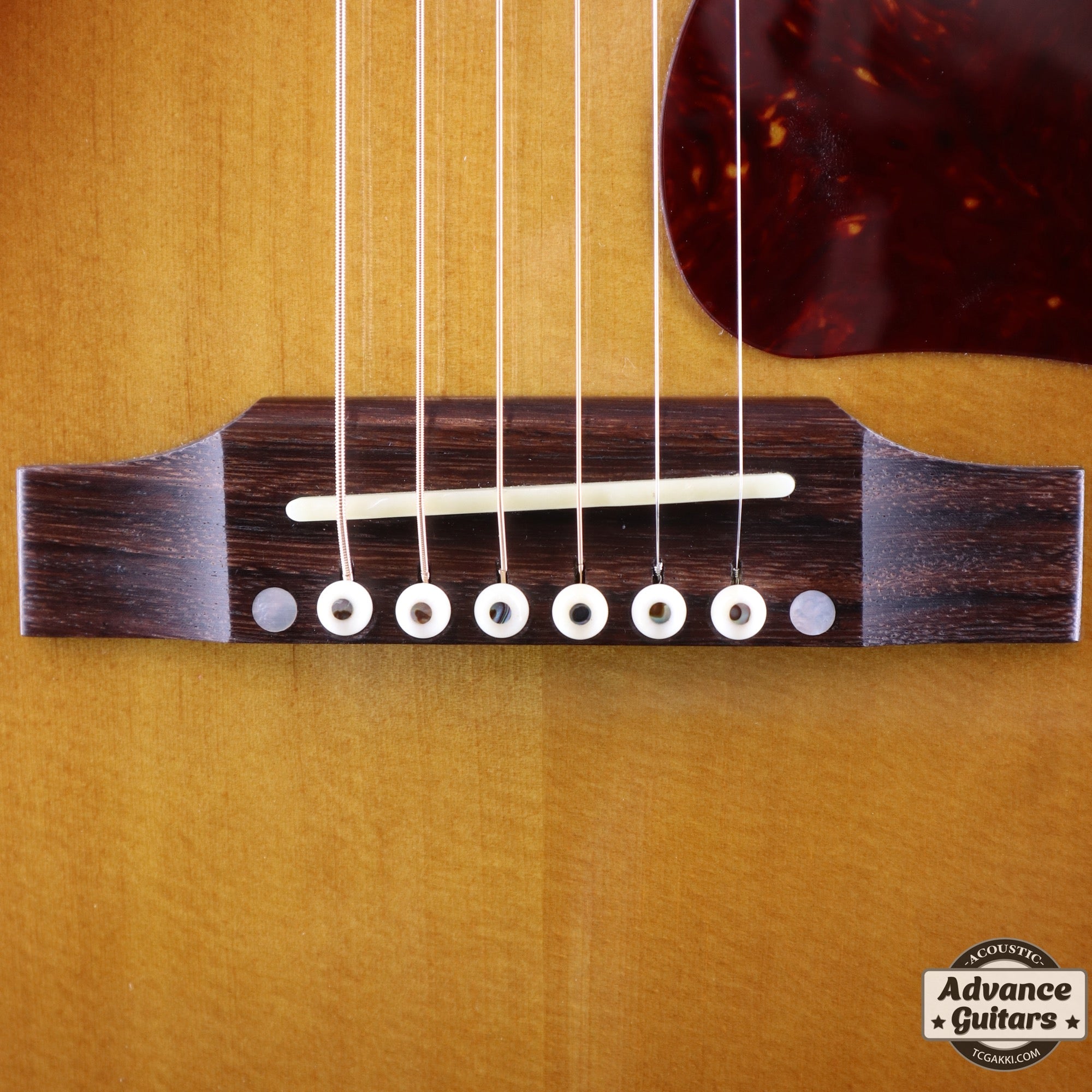 J - 45 STANDARD - TC楽器 - TCGAKKI