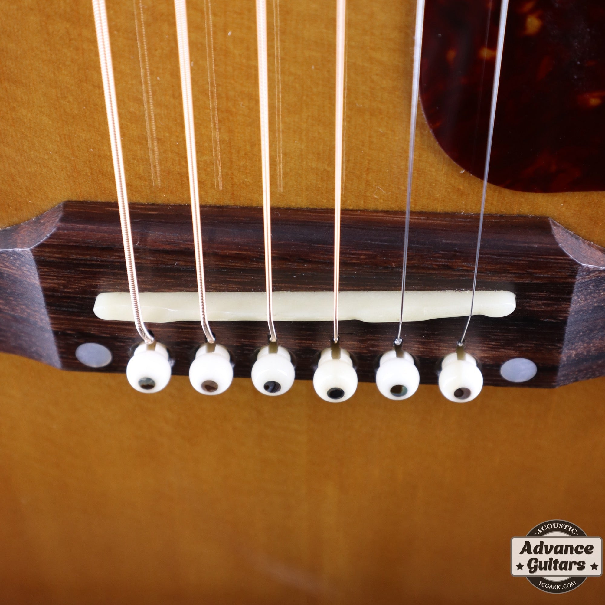 J - 45 STANDARD - TC楽器 - TCGAKKI