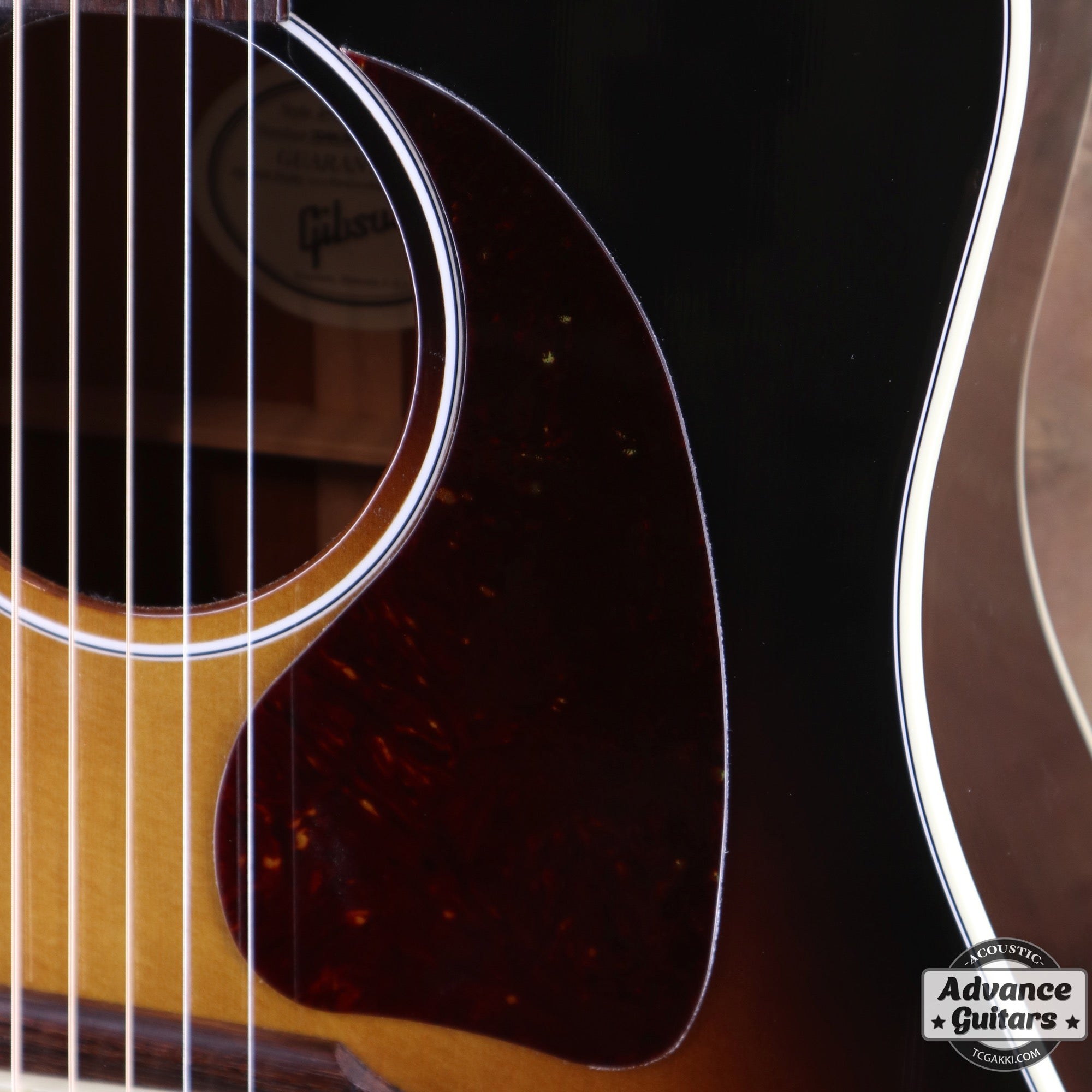 J - 45 STANDARD - TC楽器 - TCGAKKI