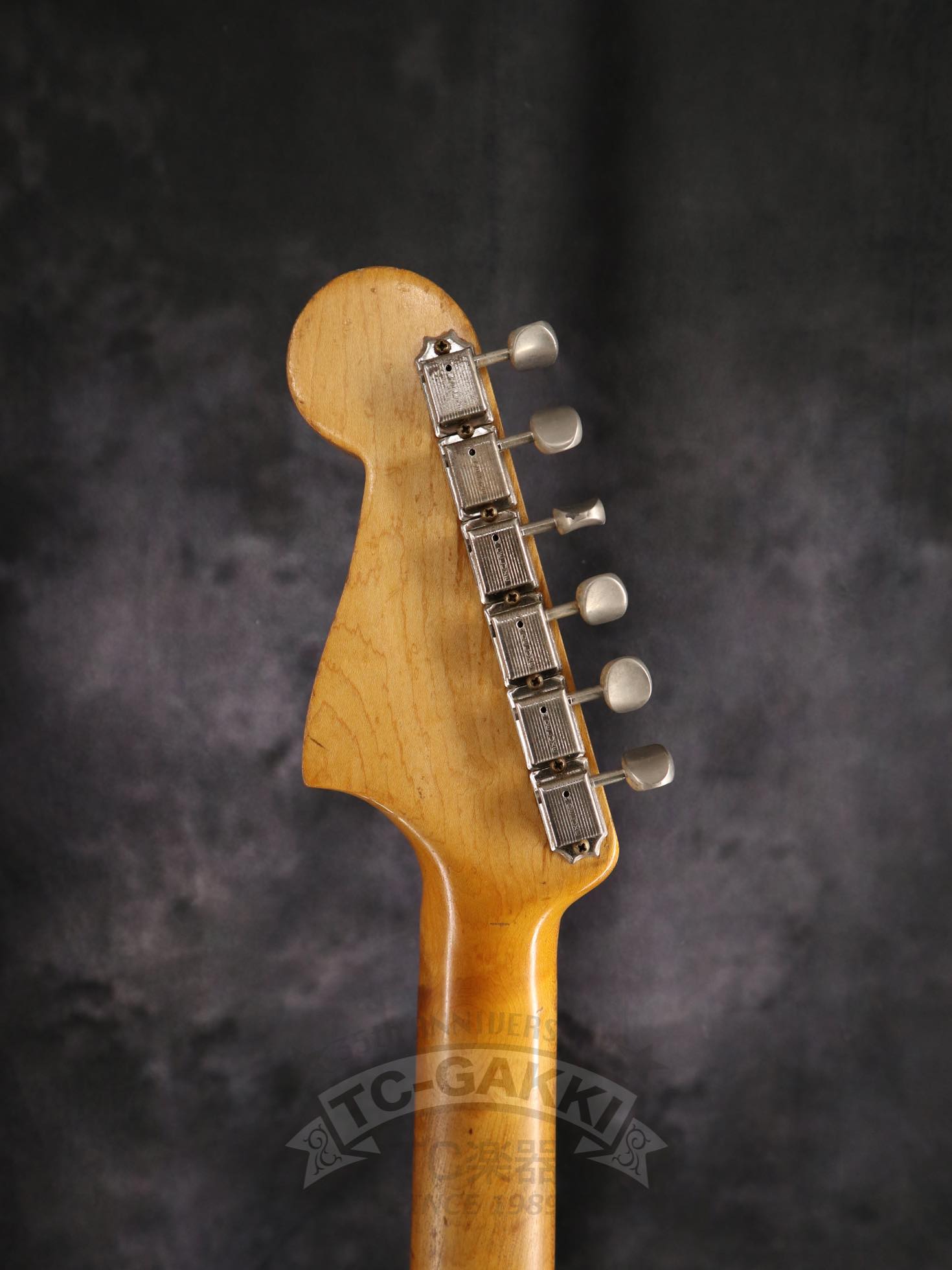 JAZZMASTER - TC楽器 - TCGAKKI