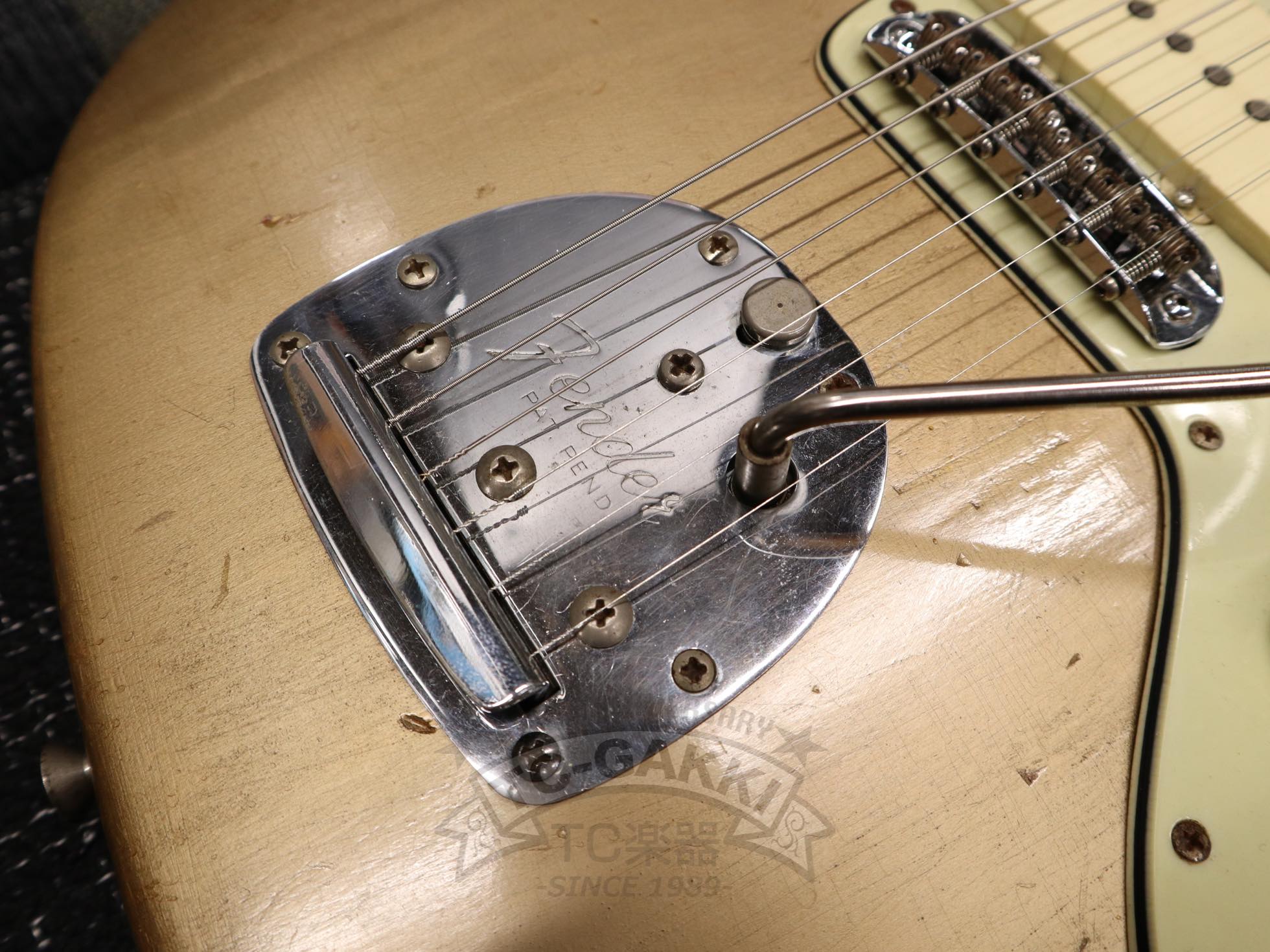 JAZZMASTER - TC楽器 - TCGAKKI