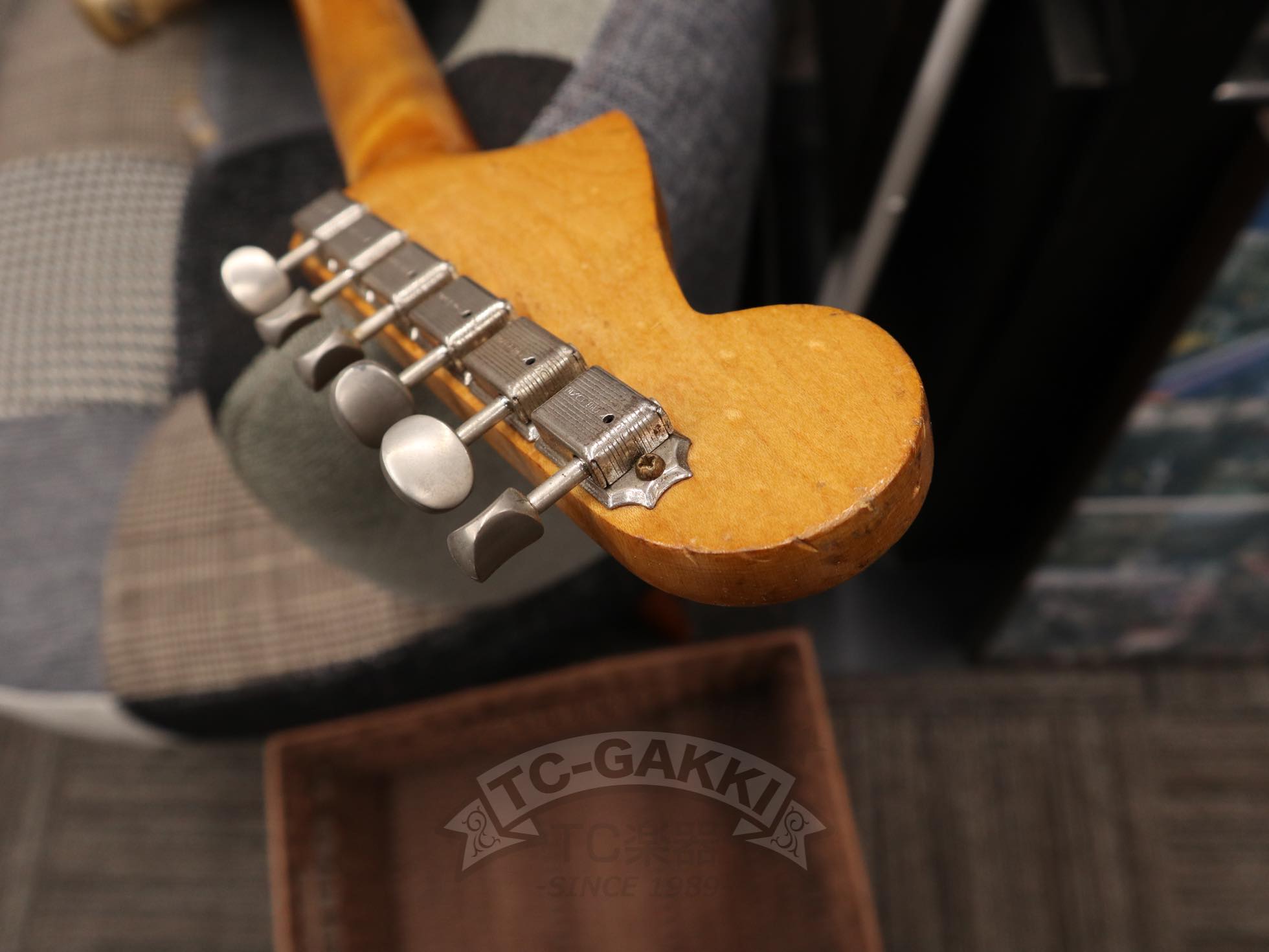 JAZZMASTER - TC楽器 - TCGAKKI