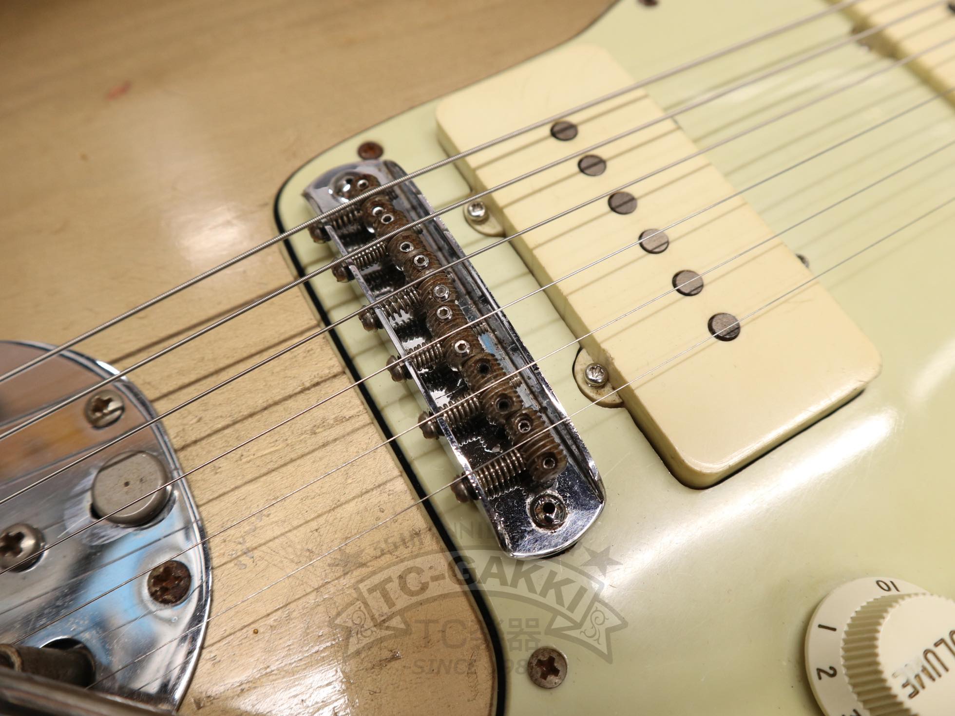 JAZZMASTER - TC楽器 - TCGAKKI