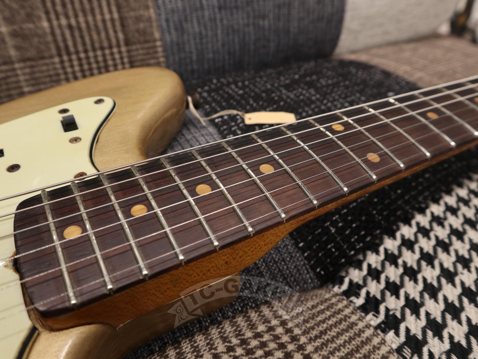 JAZZMASTER - TC楽器 - TCGAKKI