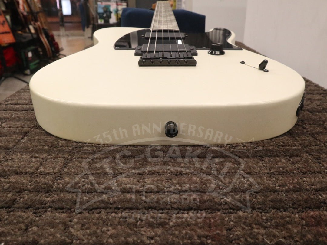 Jim Root Telecaster - TC楽器 - TCGAKKI