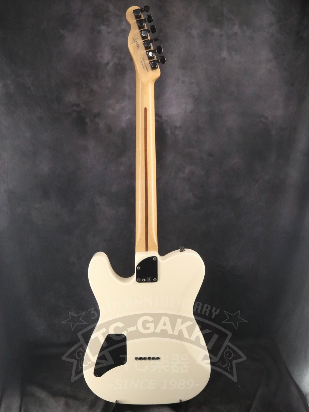 Jim Root Telecaster - TC楽器 - TCGAKKI