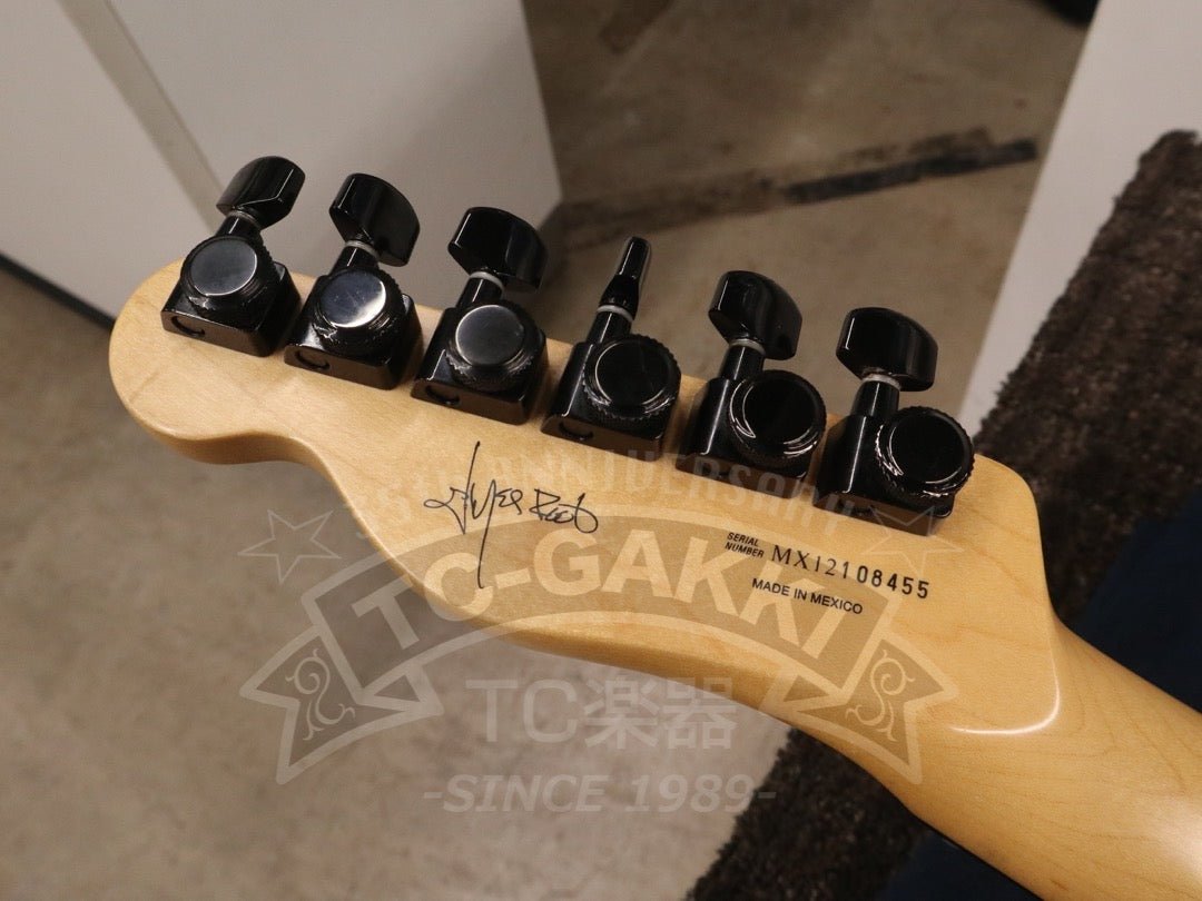 Jim Root Telecaster - TC楽器 - TCGAKKI