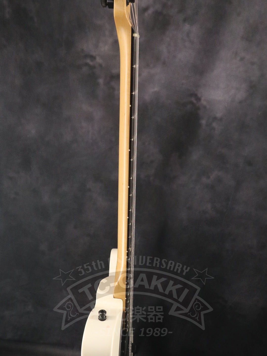 Jim Root Telecaster - TC楽器 - TCGAKKI