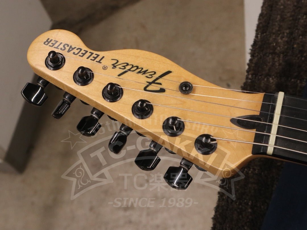 Jim Root Telecaster - TC楽器 - TCGAKKI