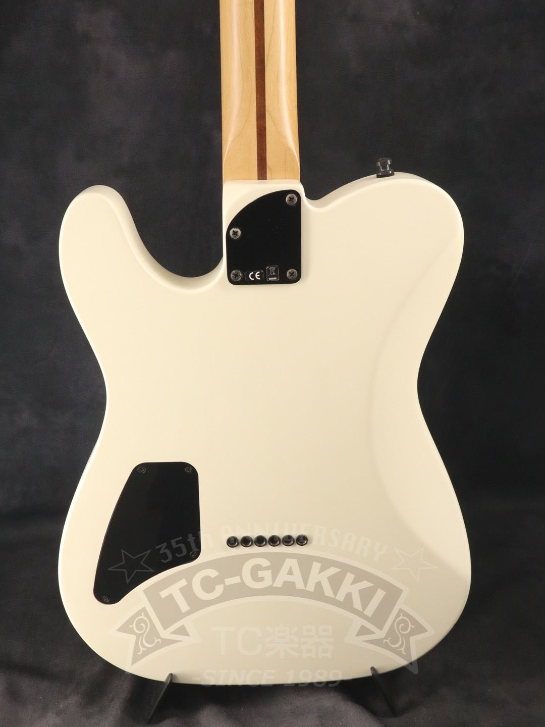 Jim Root Telecaster - TC楽器 - TCGAKKI