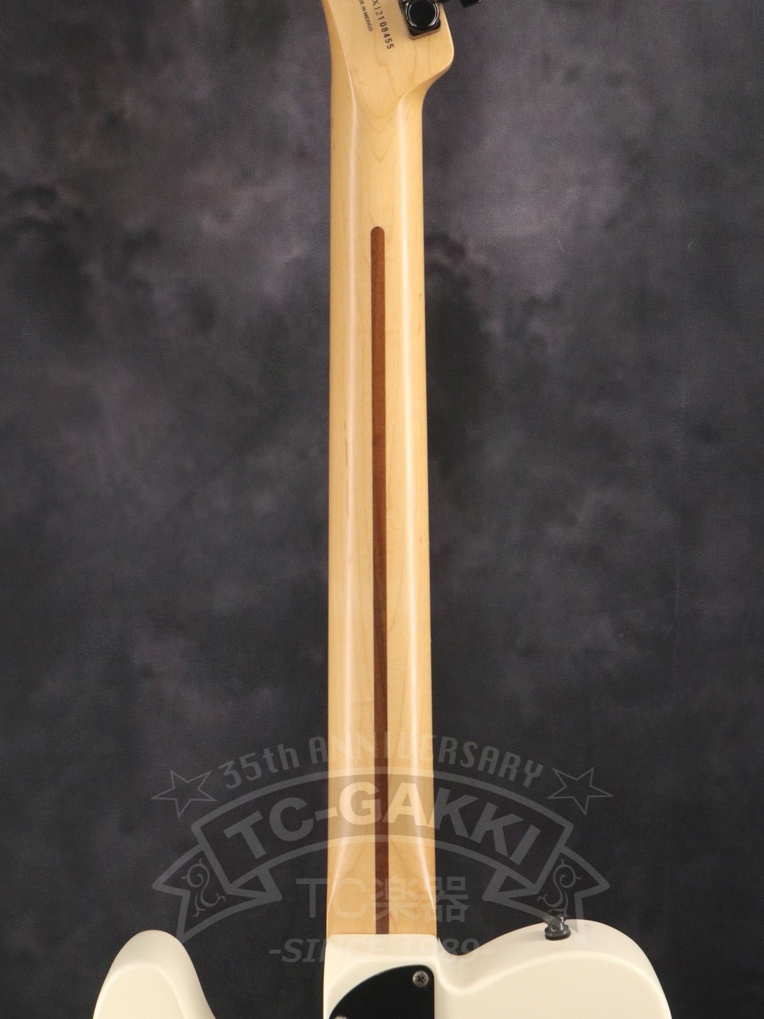 Jim Root Telecaster - TC楽器 - TCGAKKI