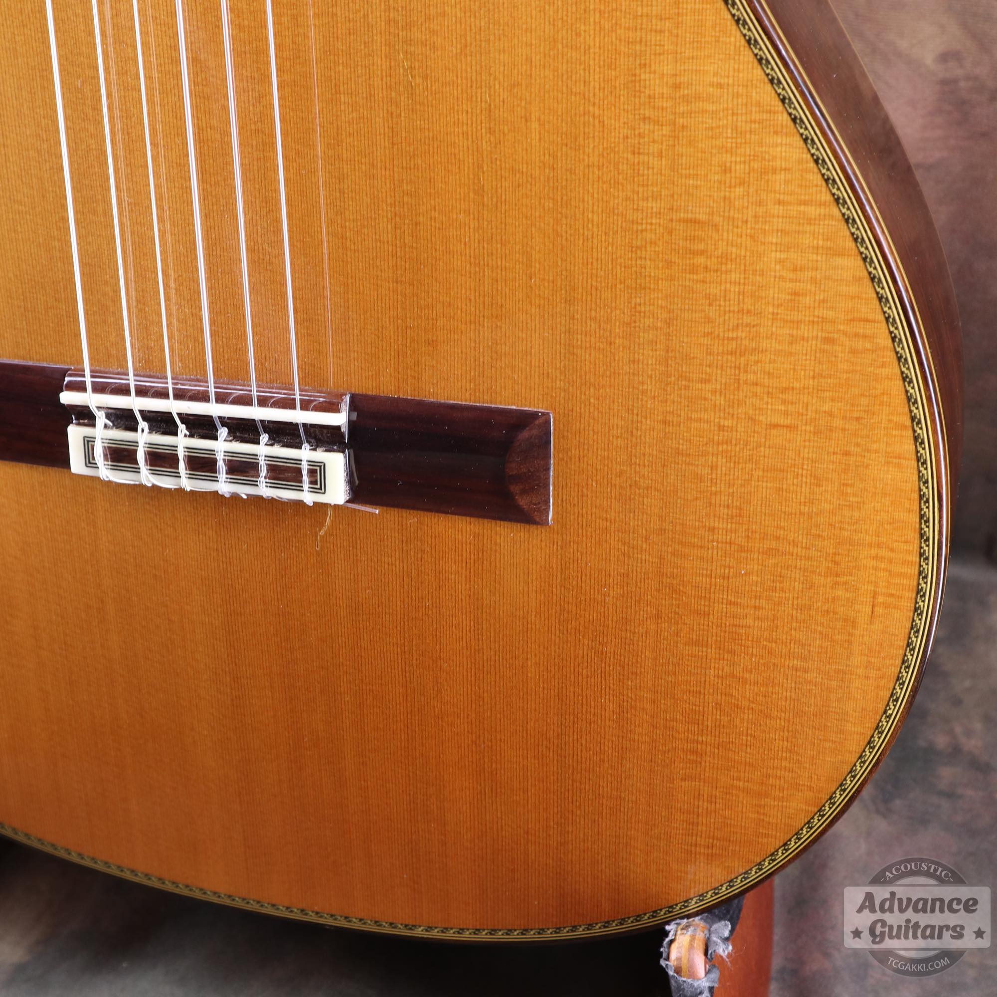 Juan Hernandez 2016年製 Maestro (Cedar/Cocobolo) - TC楽器 - TCGAKKI