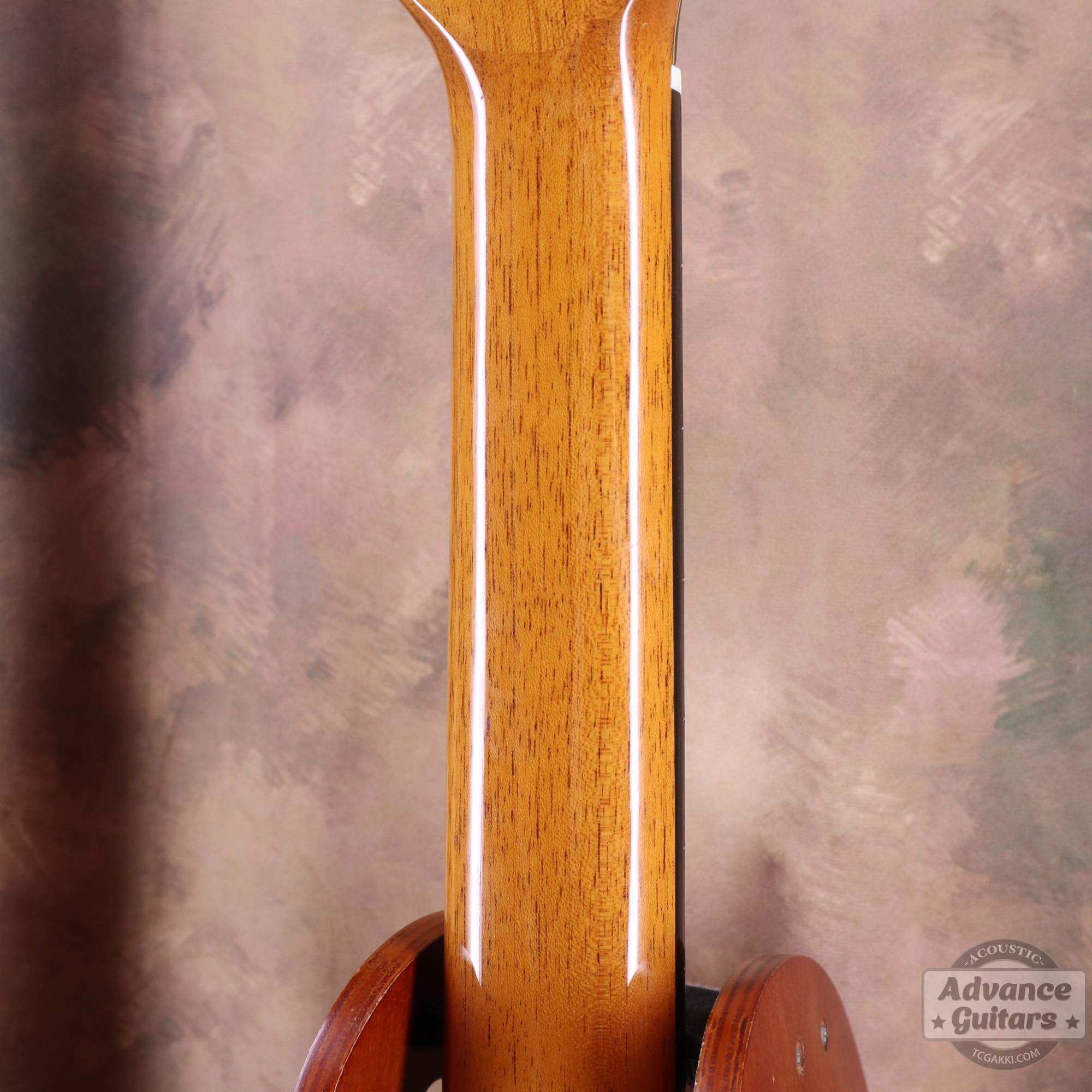 Juan Hernandez 2016年製 Maestro (Cedar/Cocobolo) - TC楽器 - TCGAKKI