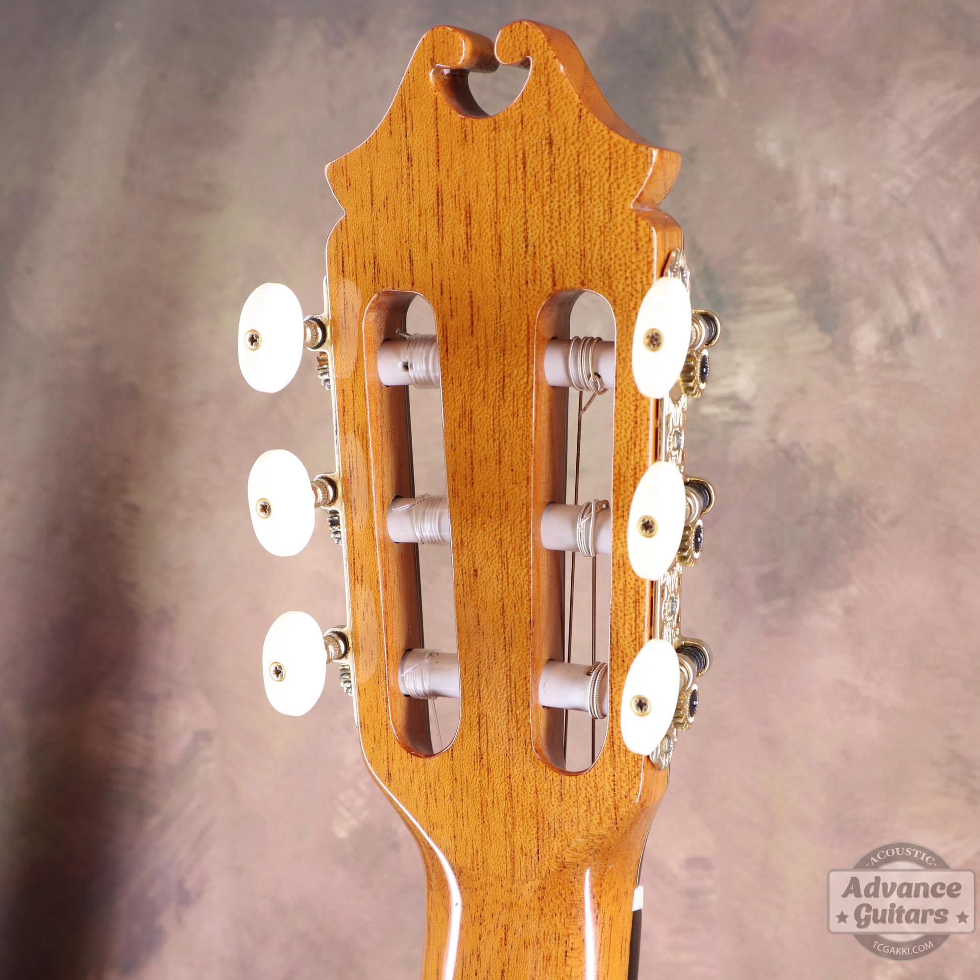Juan Hernandez 2016年製 Maestro (Cedar/Cocobolo) - TC楽器 - TCGAKKI