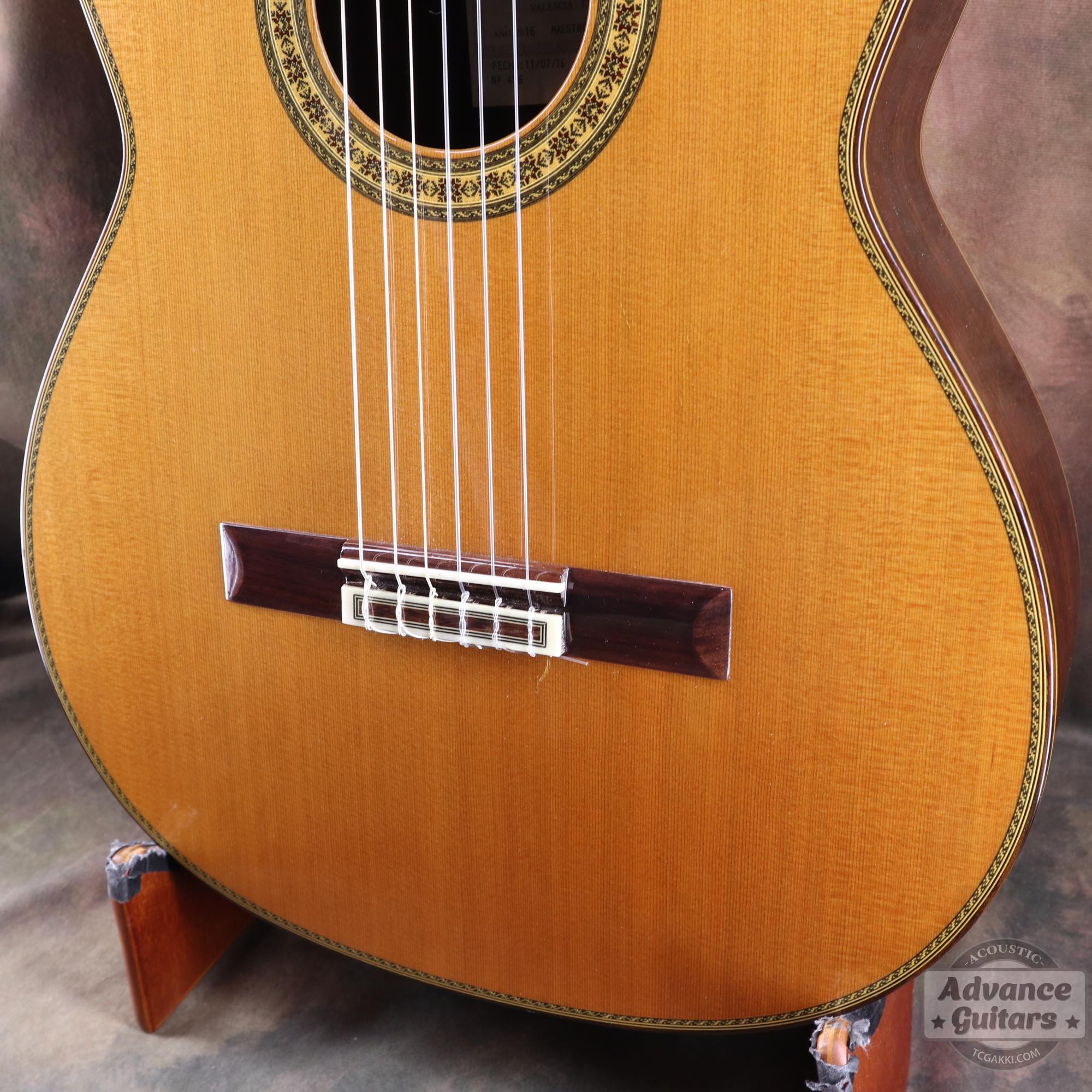 Juan Hernandez 2016年製 Maestro (Cedar/Cocobolo) - TC楽器 - TCGAKKI