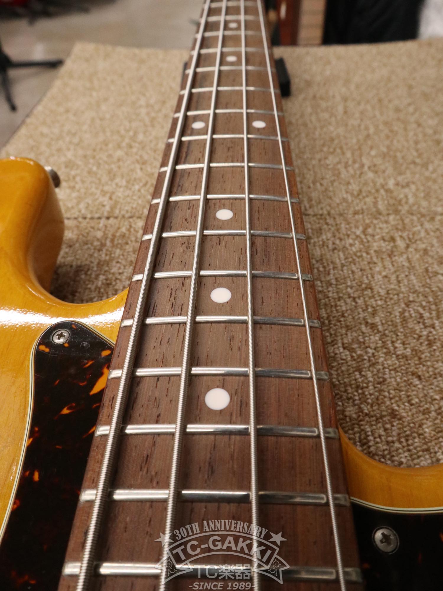 KNPB - TC楽器 - TCGAKKI