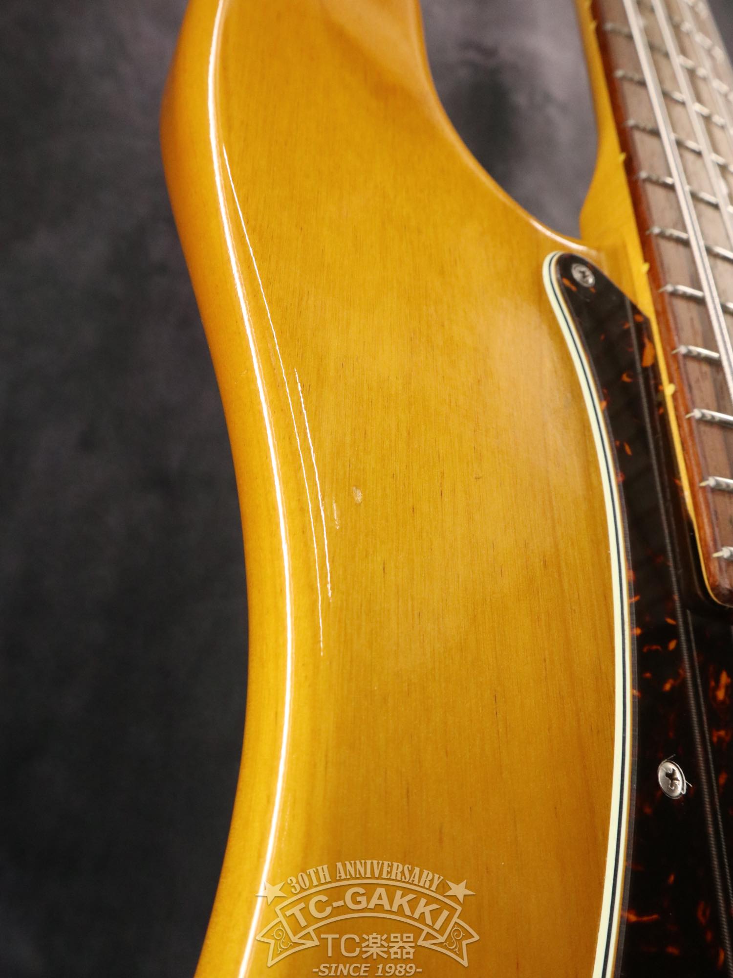 KNPB - TC楽器 - TCGAKKI