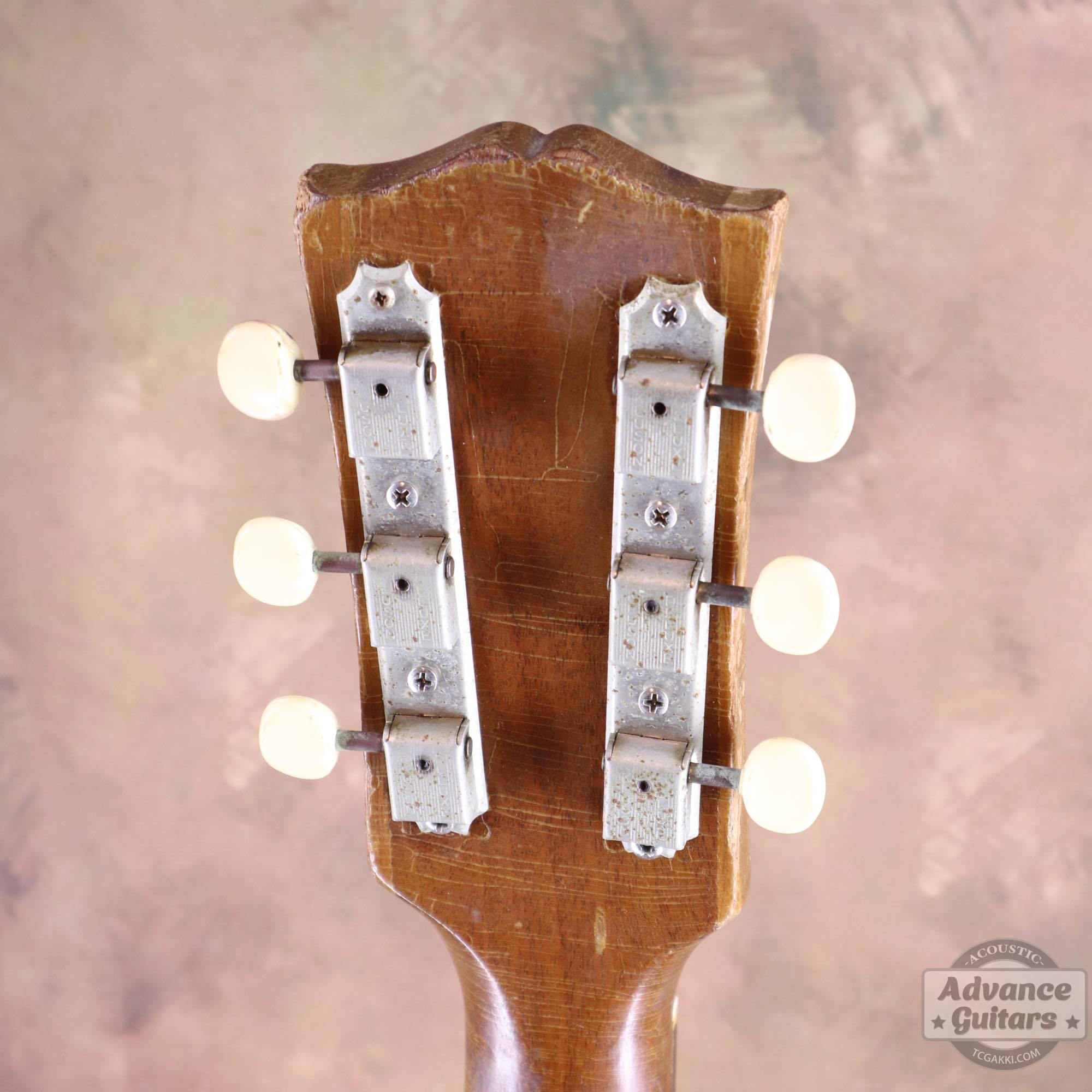 L1960s LG - 0 - TC楽器 - TCGAKKI