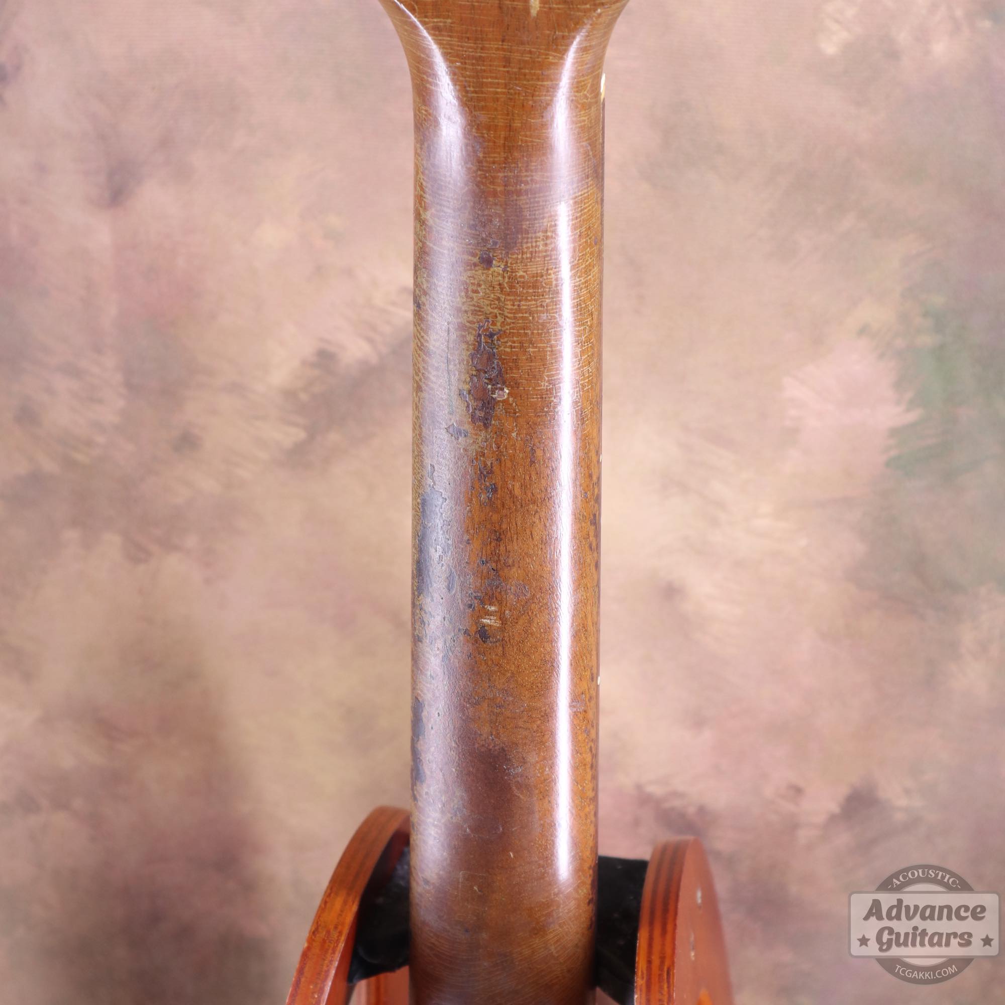 L1960s LG - 0 - TC楽器 - TCGAKKI