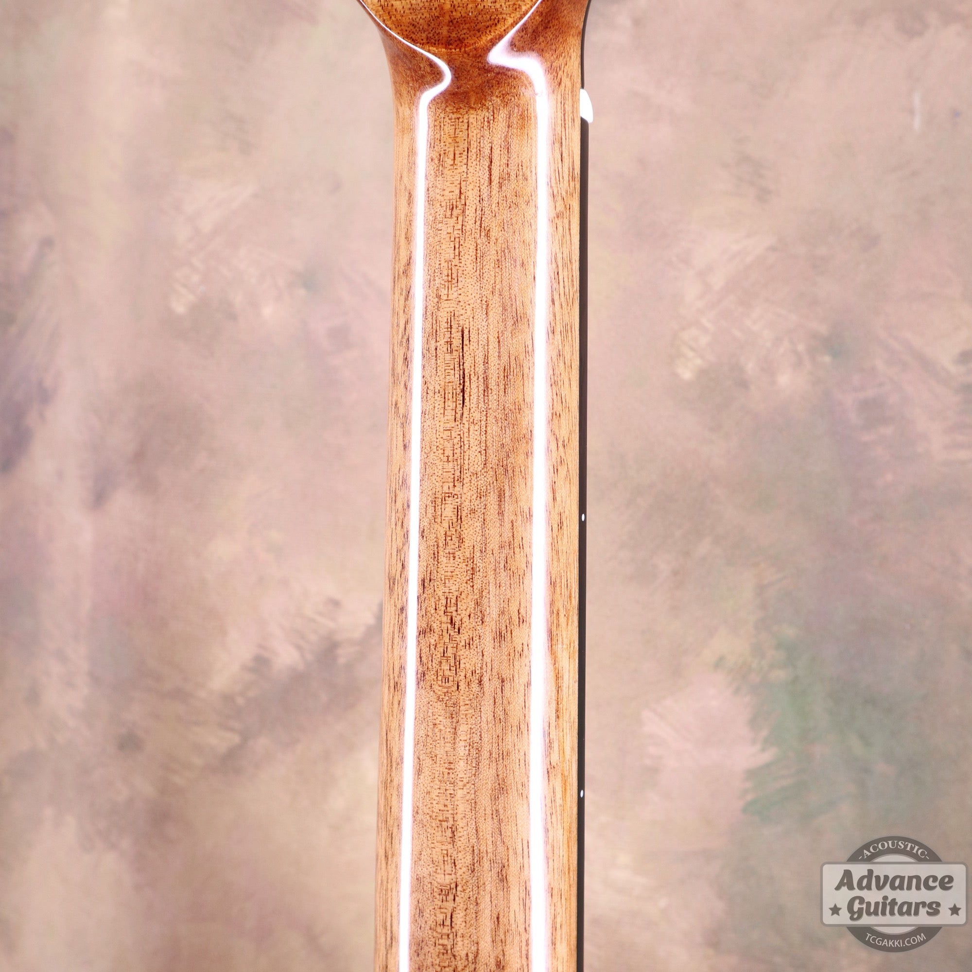 【新品】Legacy - EQ - TC楽器 - TCGAKKI