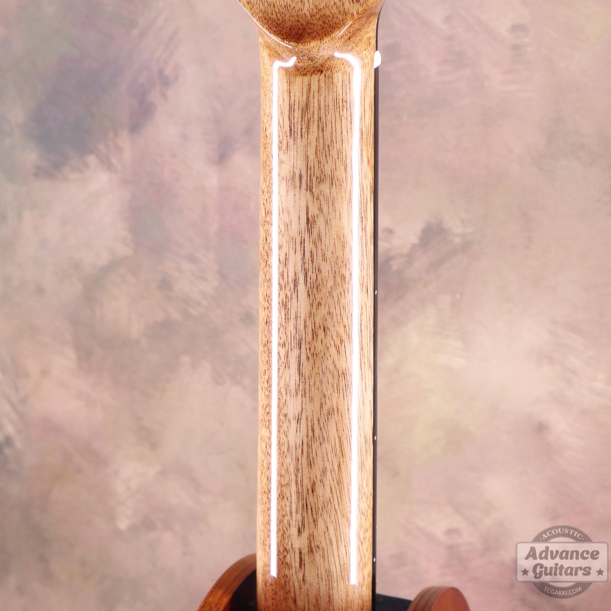 Legacy - EQ - TC楽器 - TCGAKKI