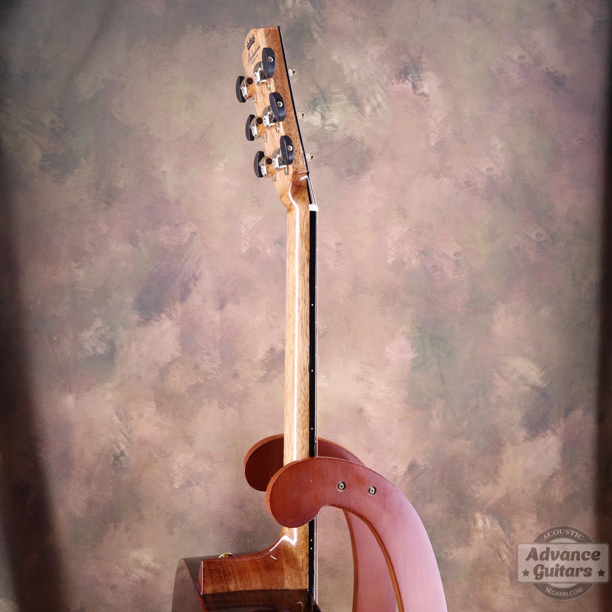 Legacy - EQ - TC楽器 - TCGAKKI