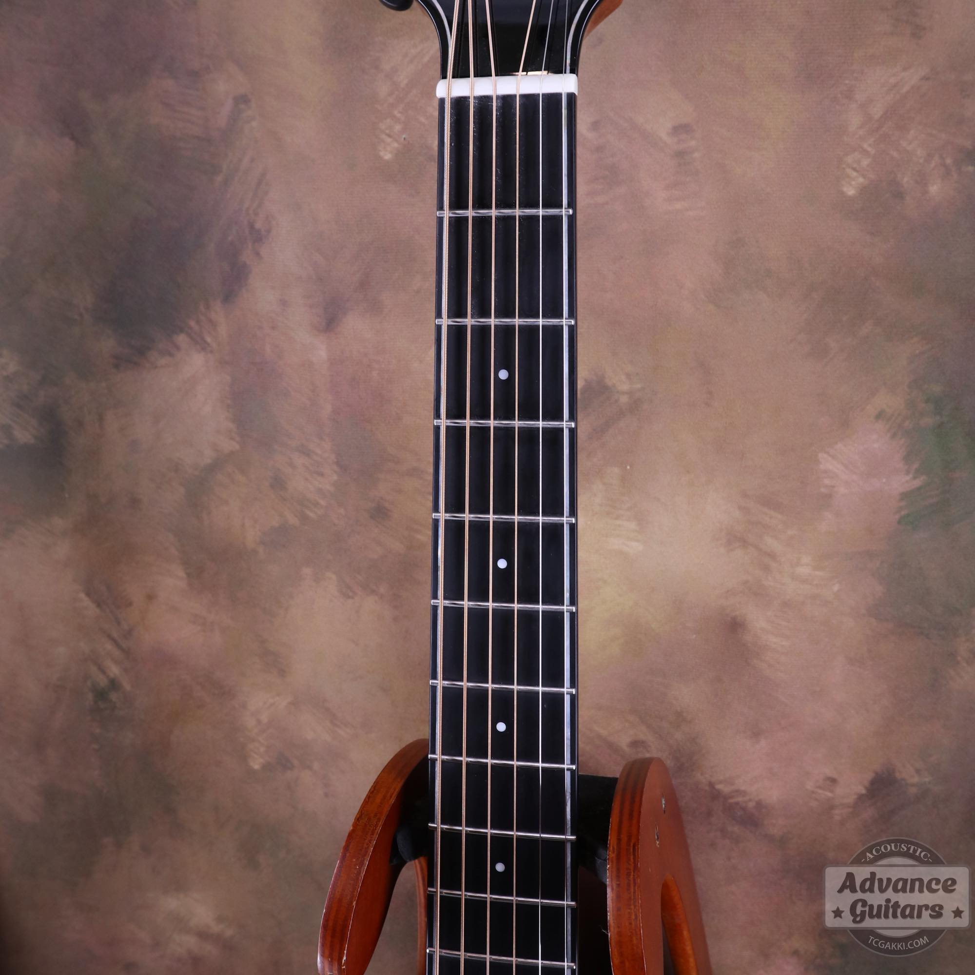 Legacy - EQ - TC楽器 - TCGAKKI