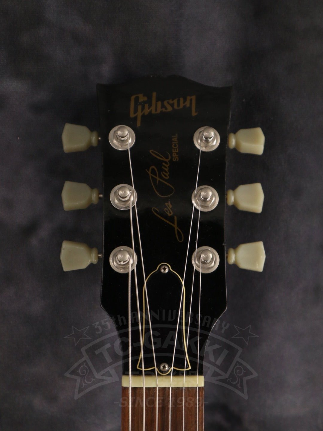 Les Paul Special P - 100 - TC楽器 - TCGAKKI