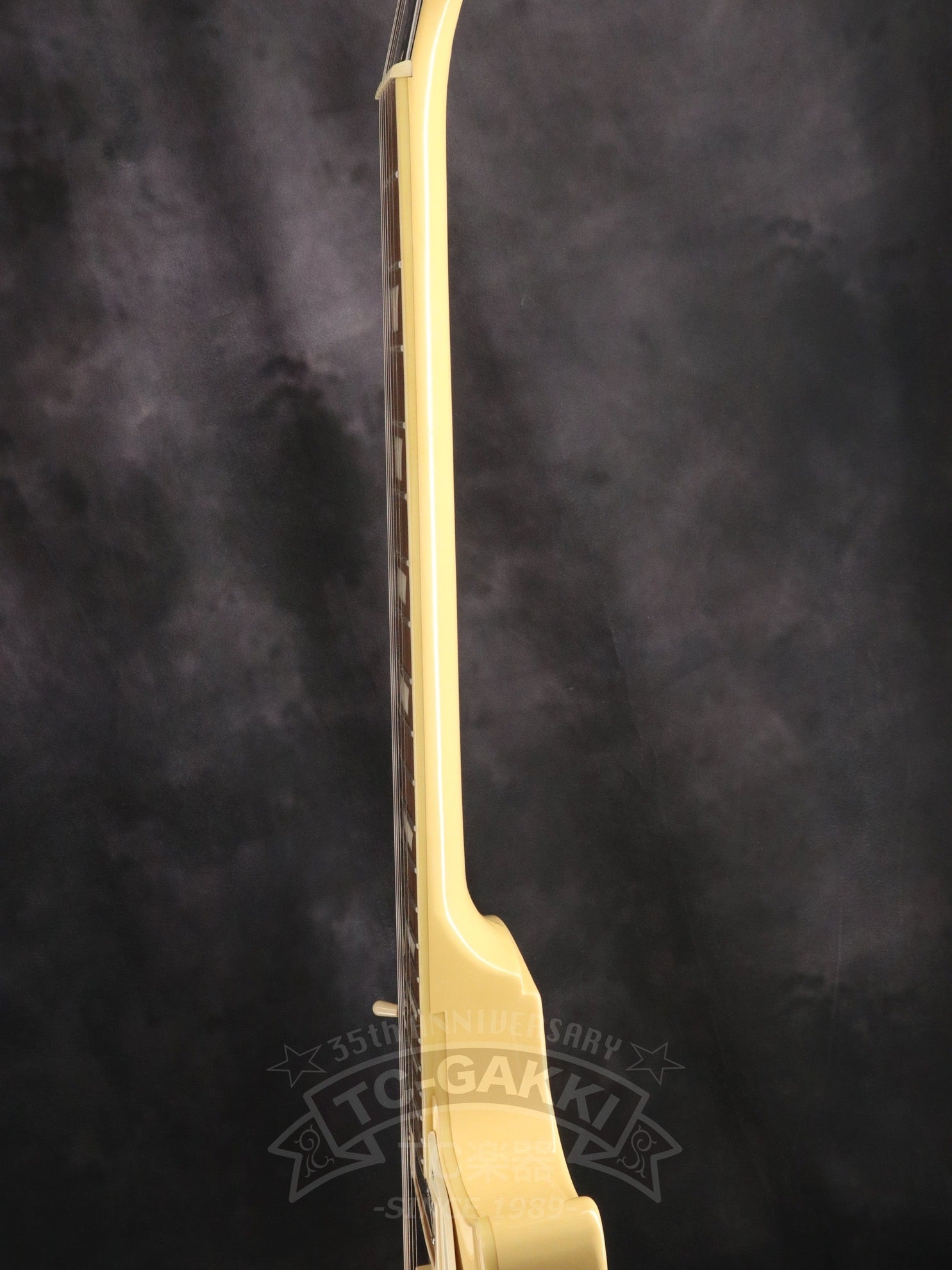 Les Paul Standard - TC楽器 - TCGAKKI