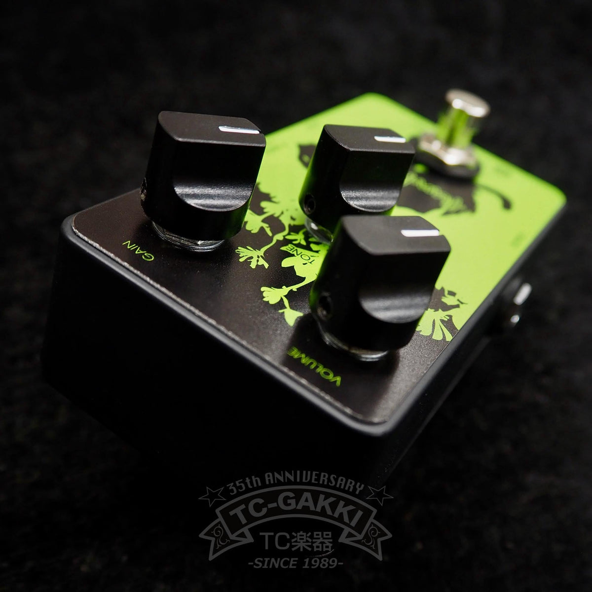 Limetone Audio funther (Glass Field) - TC楽器 - TCGAKKI