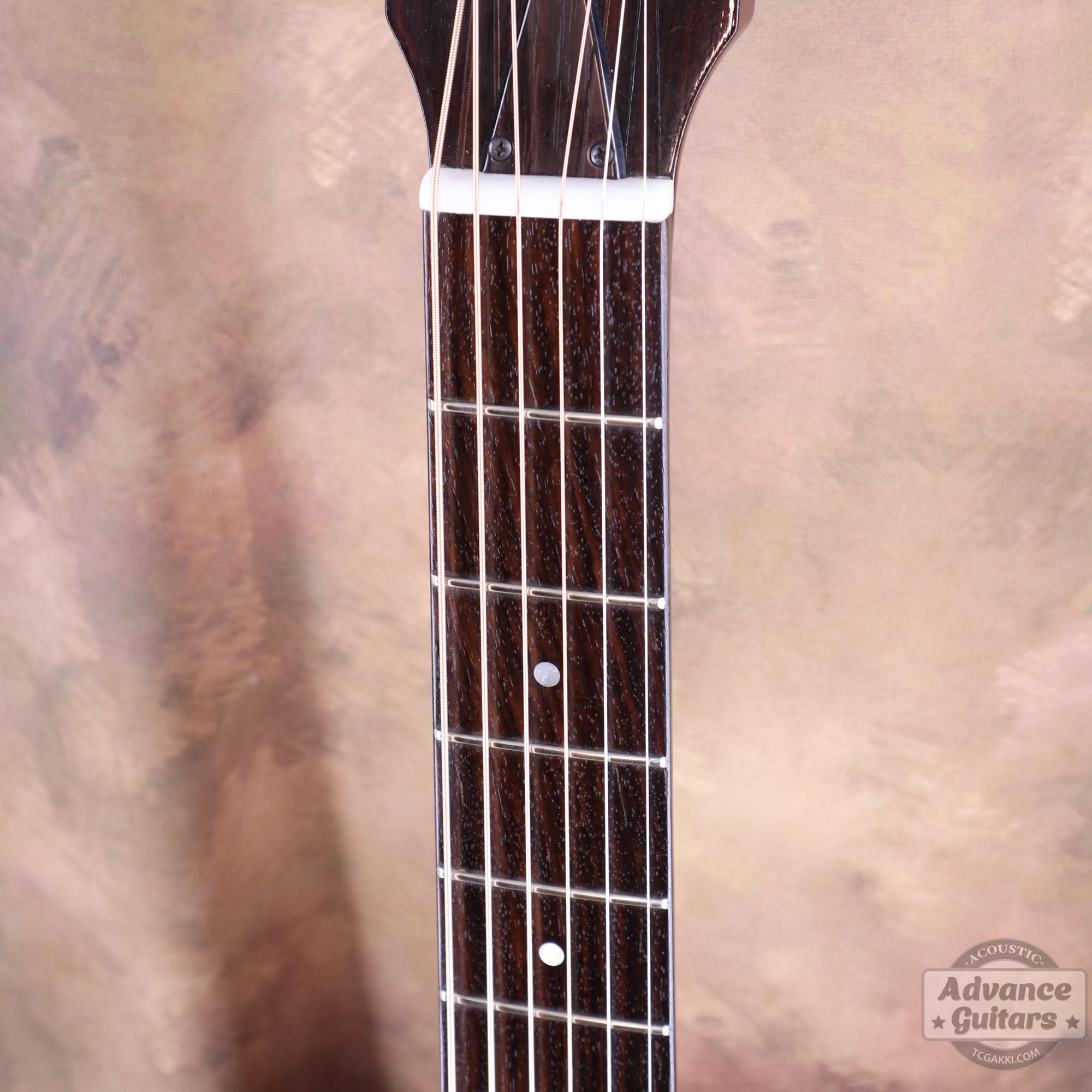 LL - 5 - TC楽器 - TCGAKKI