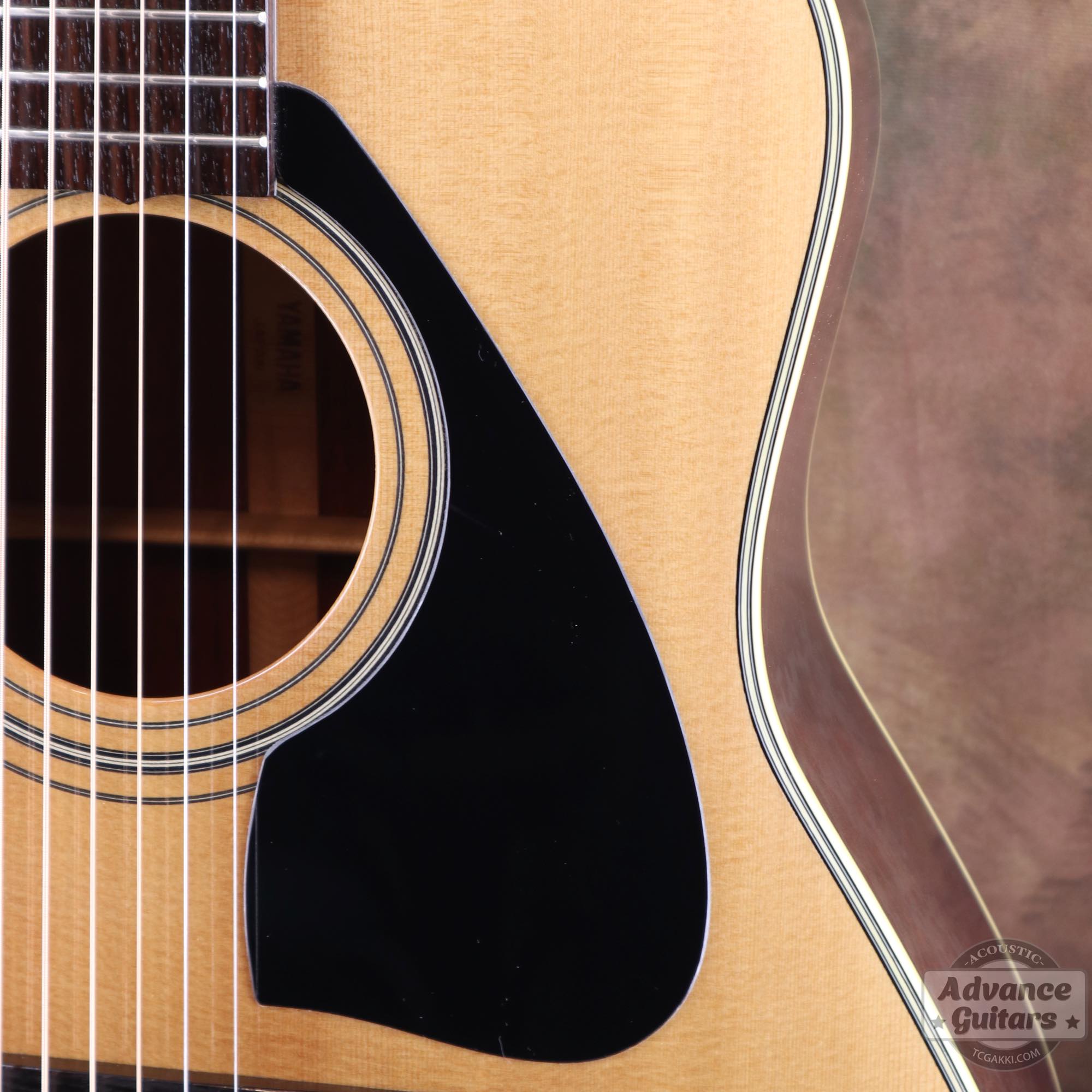 LL - 5 - TC楽器 - TCGAKKI