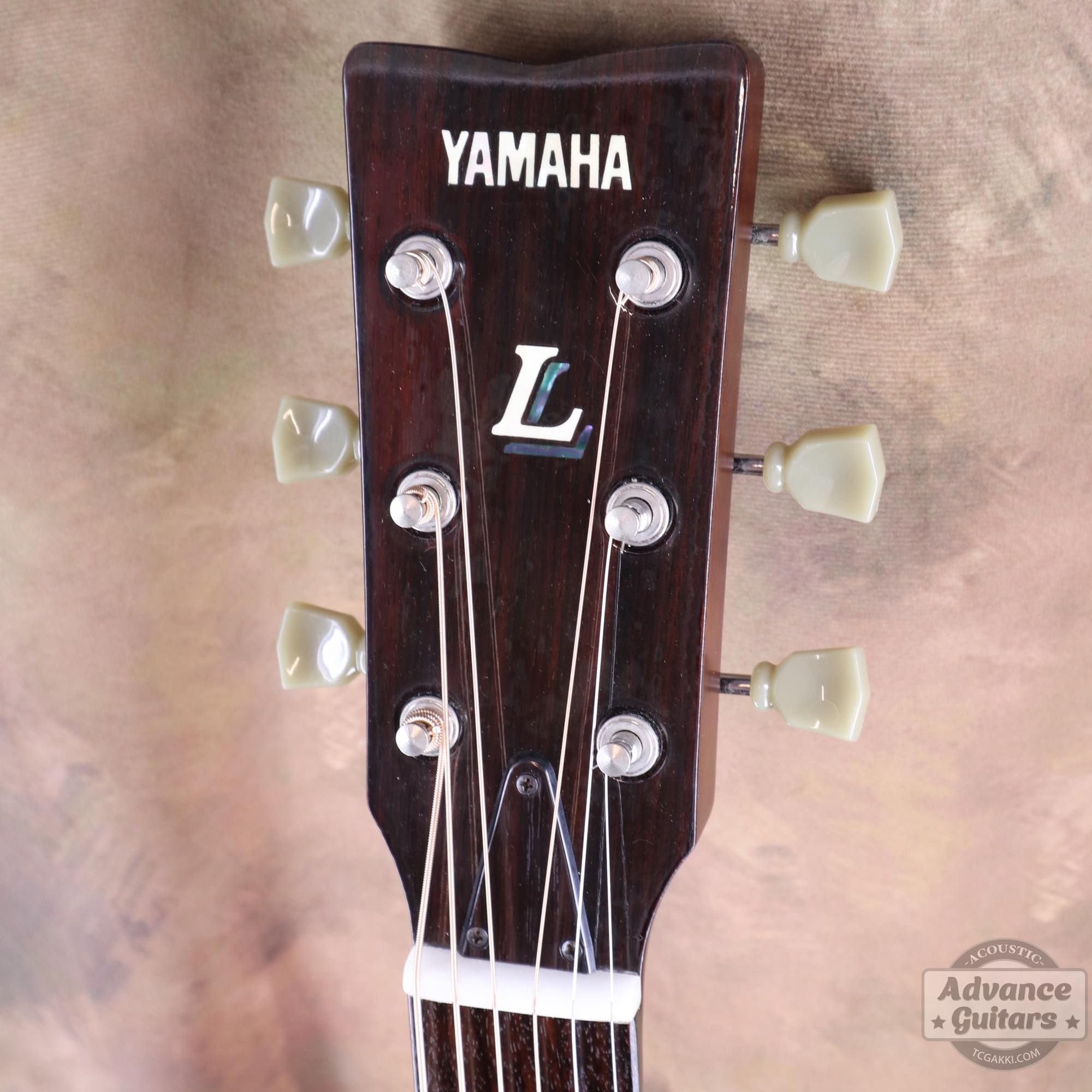 LL - 5 - TC楽器 - TCGAKKI