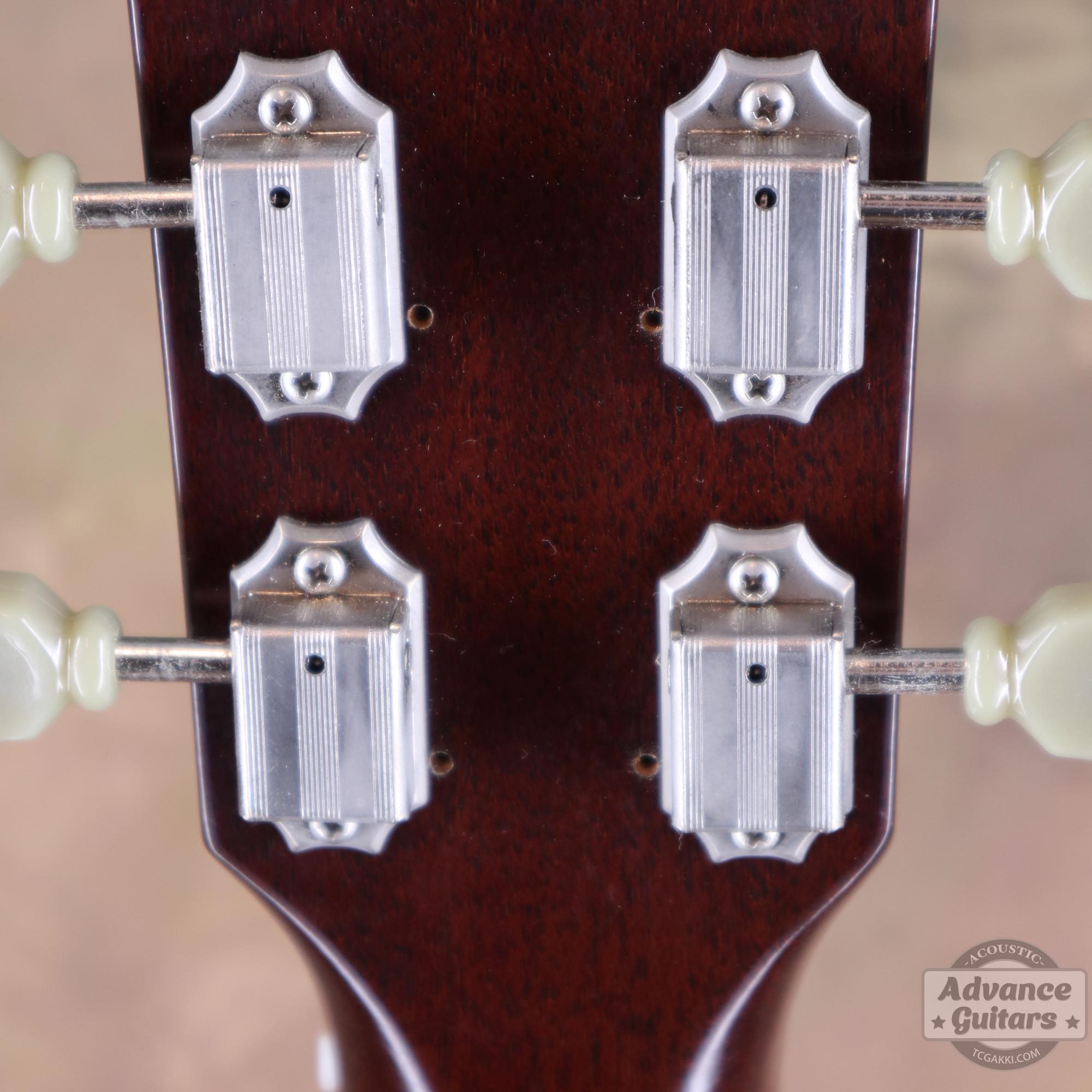 LL - 5 - TC楽器 - TCGAKKI