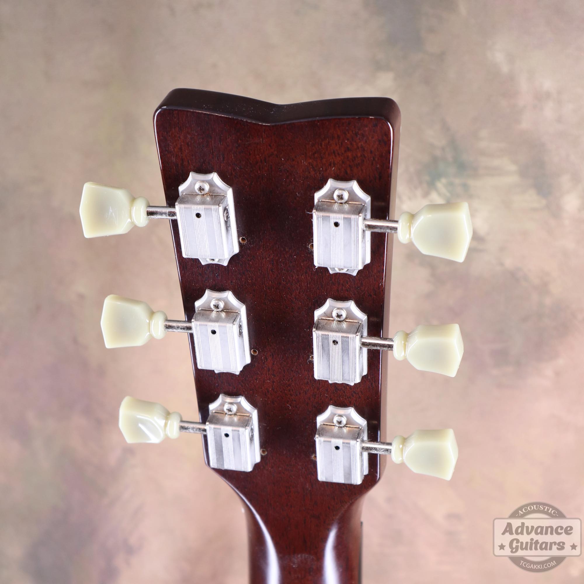 LL - 5 - TC楽器 - TCGAKKI