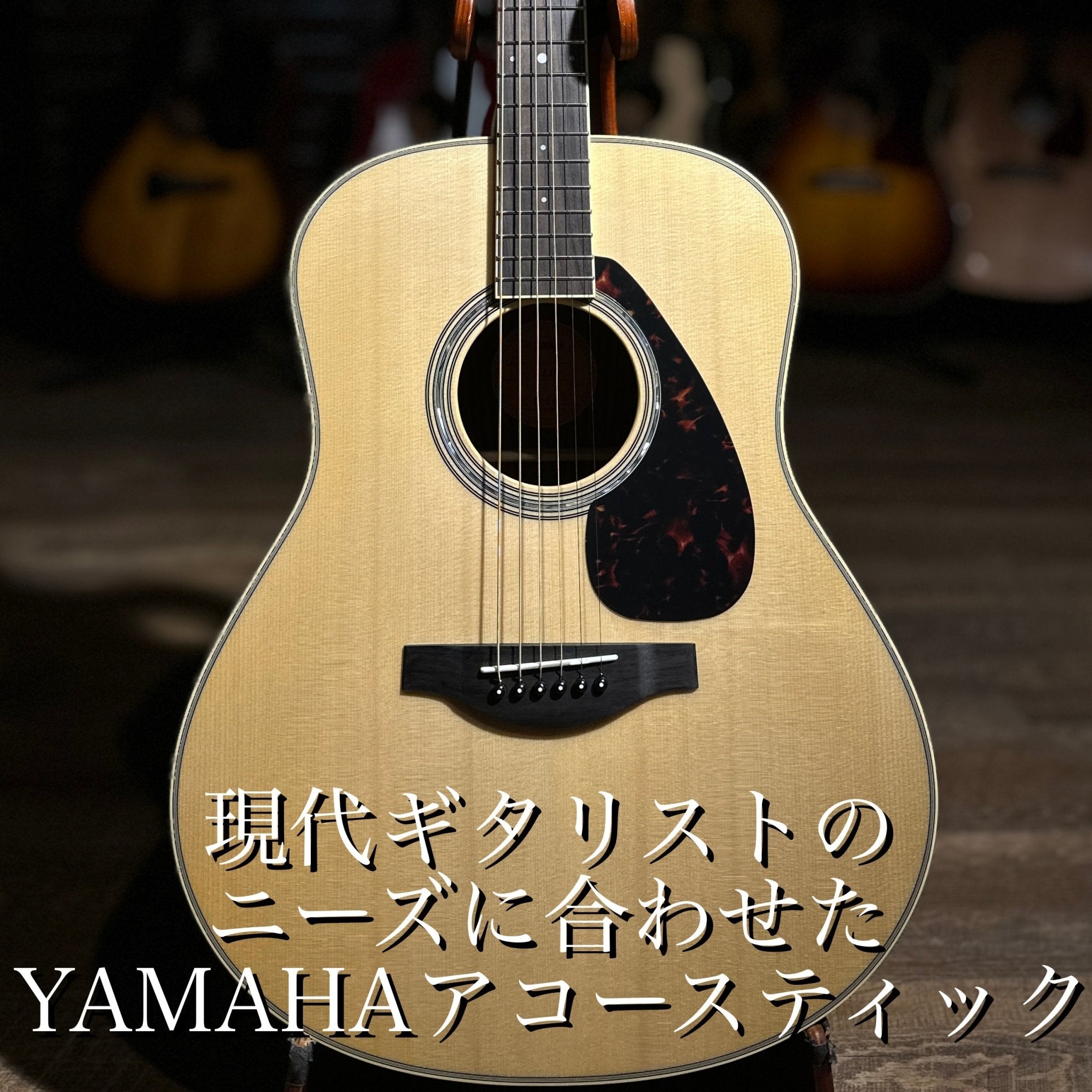 【新品】 LL6 - TC楽器 - TCGAKKI